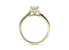 Radiant Embrace - Radiant