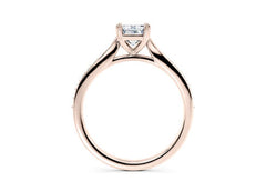 Radiant Embrace - Radiant