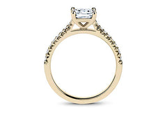 Majestic Dawn - Princess