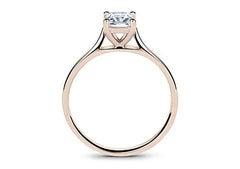 Majestic Serenity - Radiant