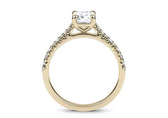 Radiant Promise - Radiant