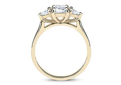 Velvet Promise - Cushion